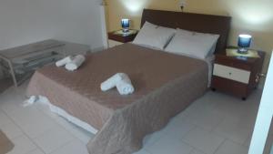 dolphin apt and studios near the beach