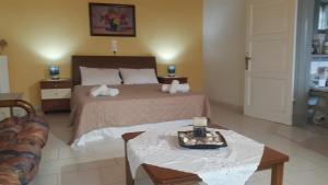 dolphin apt and studios near the beach