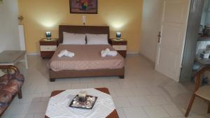 dolphin apt and studios near the beach