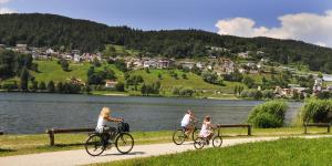 Hotel Italia,Levico Terme>>Baselga Di Pine,3 star