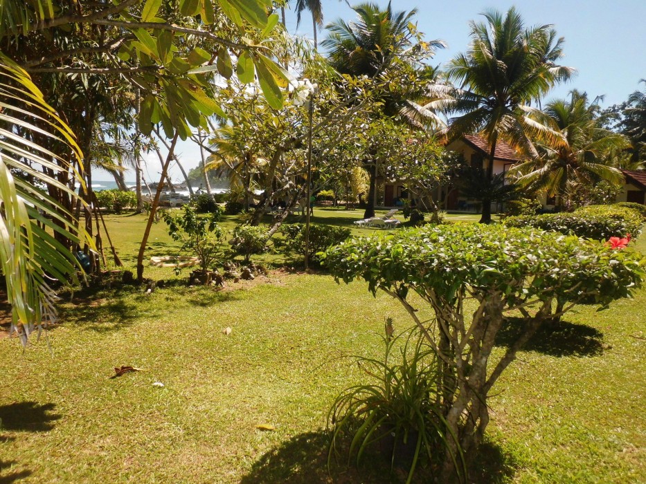 mirissa