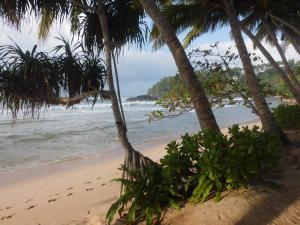 mirissa