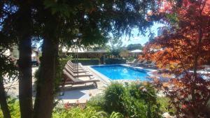 family hotel muses