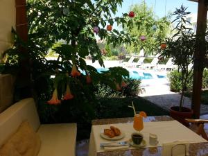 family hotel muses