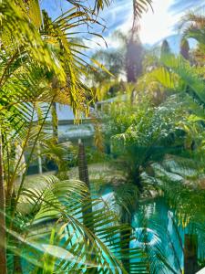 swan valley oasis resort