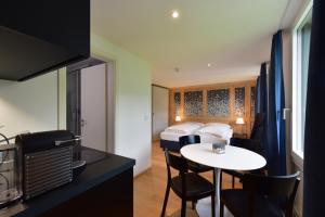parkhotel bellevue lenk