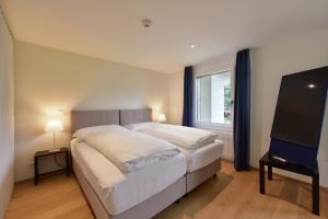 parkhotel bellevue lenk