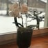 parkhotel bellevue lenk