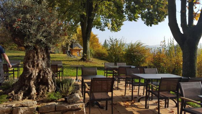 akzent vitalhotel konig am park