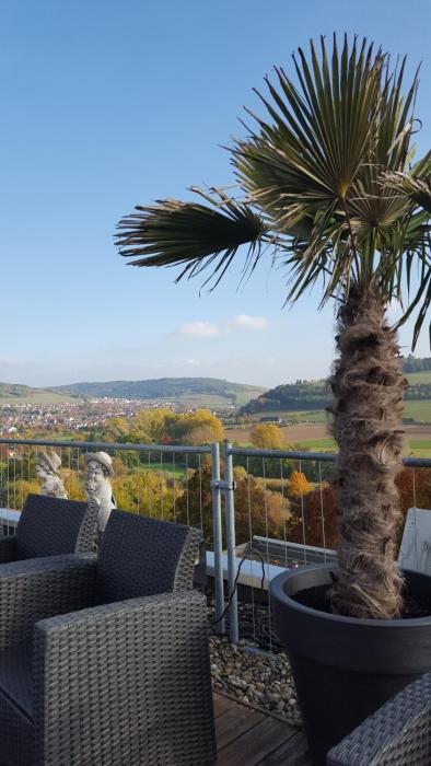 akzent vitalhotel konig am park