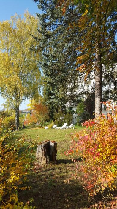 akzent vitalhotel konig am park