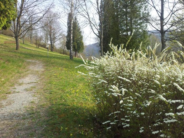 akzent vitalhotel konig am park