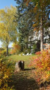 akzent vitalhotel konig am park