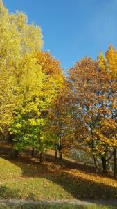 akzent vitalhotel konig am park