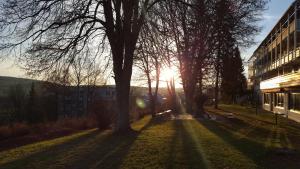 akzent vitalhotel konig am park