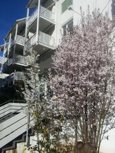 akzent vitalhotel konig am park