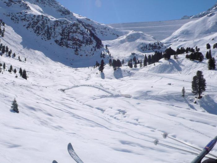 hotel alpenrose sport and aktiv