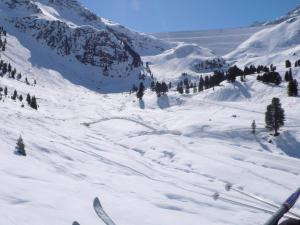 hotel alpenrose sport and aktiv