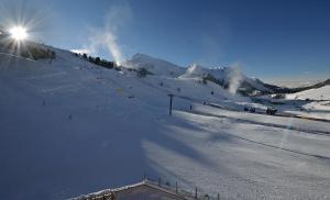 hotel alpenrose sport and aktiv