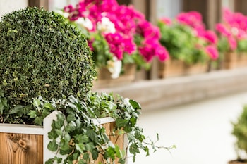 hotel standlhof zillertal