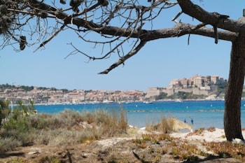 calvi