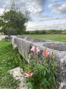 domaine de la laigne