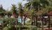 sunrise hotel
