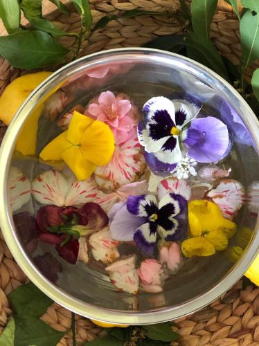 hotel stella ditalia