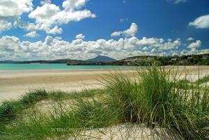 downings bay hotel
