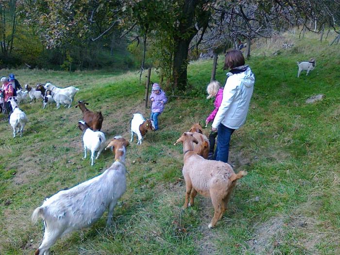 hotel kull von schmidsfelden