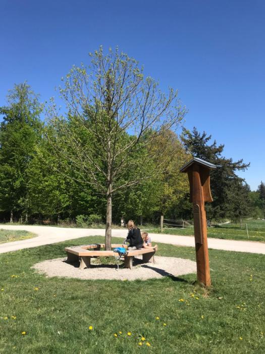 hotel kull von schmidsfelden