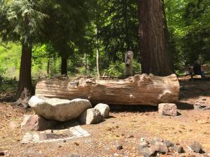 hotel kull von schmidsfelden