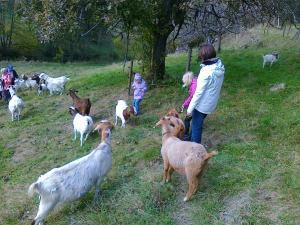 hotel kull von schmidsfelden