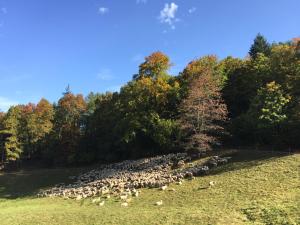 hotel kull von schmidsfelden