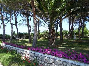 hotel agroturismo son triay