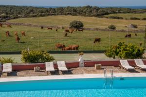 hotel agroturismo son triay