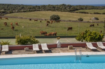 hotel agroturismo son triay