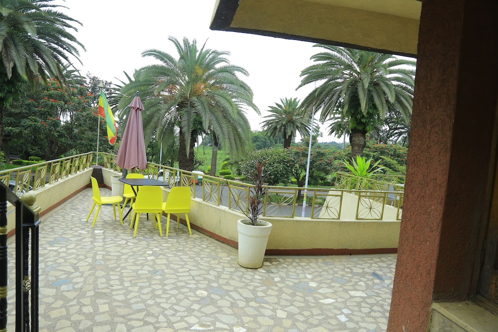 dib anbessa hotel bahir dar