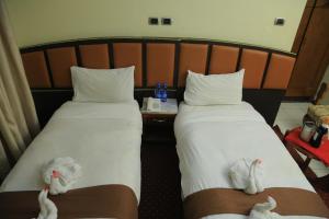 Dib Anbessa Hotel Bahir Dar,Near Church Of St. George,4 star