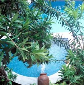 safari natal beach hotel