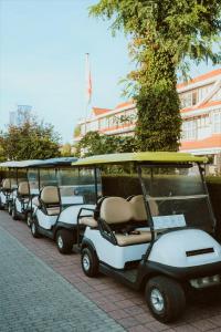 knokke heist