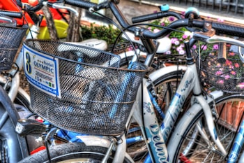 Hotel Olympic,Imperia>>Diano Marina,3 star