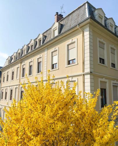 hotel des eaux