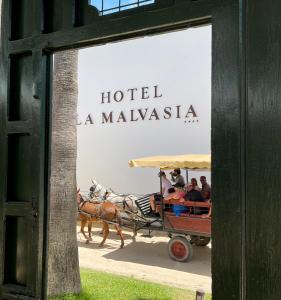la malvasia