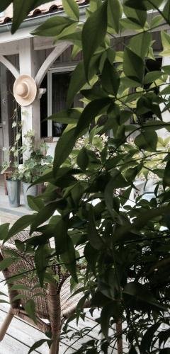 hotel la maison du lierre