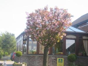 hotel restaurant la cremaillere