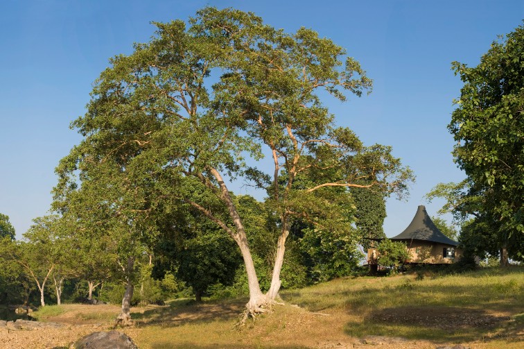 Banjaar Tola, A Taj Safari - Kanha National Park,Manjitola,5 star