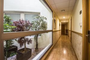 casa jacinto pamplona