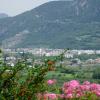 trento