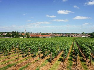 Ibis Budget Nuits Saint Georges,Rue Ch.-A Arnoultrond-Point De L'europe,2 star